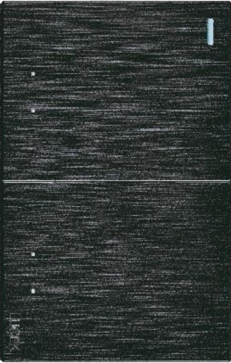 BF09-N.jpg