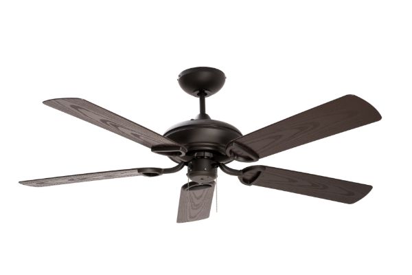 HABANA CHOCOLATE.jpg