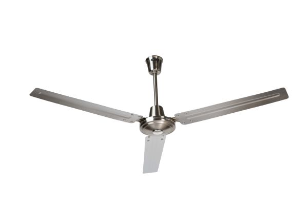 CENTAURO SIN LUZ.jpg