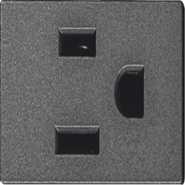 Receptáculo Polarizado Sencillo con Tierra - SPM-03