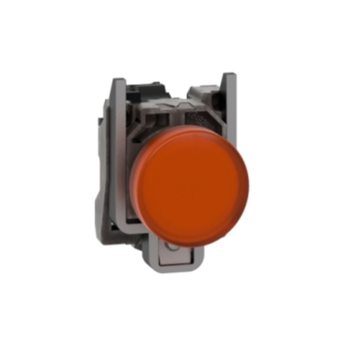 XB4BVM5.jpg