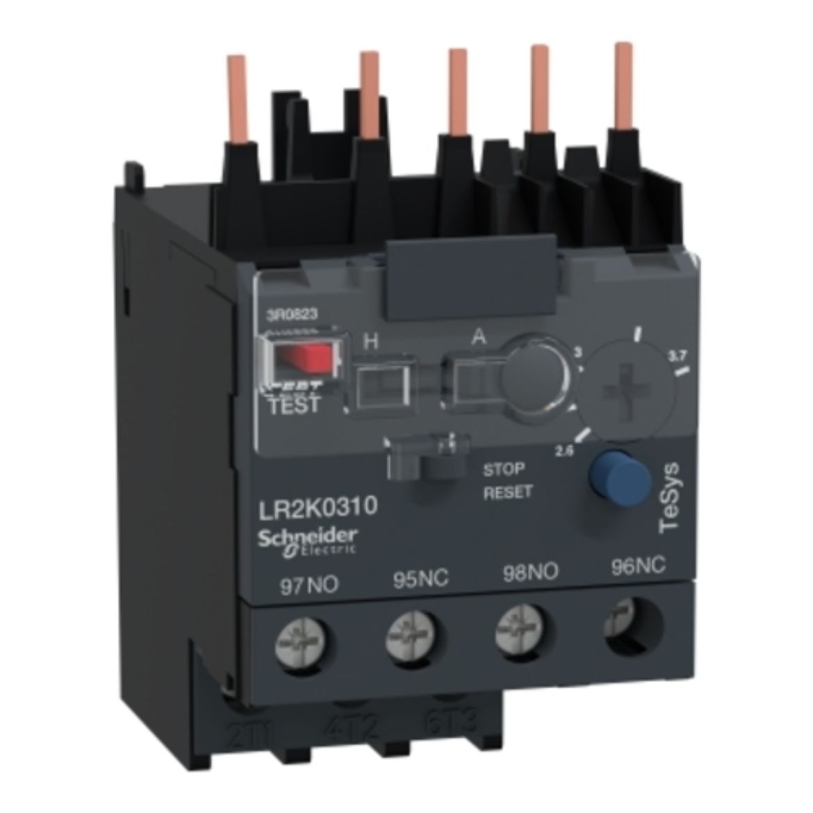 LR2K0310.jpg