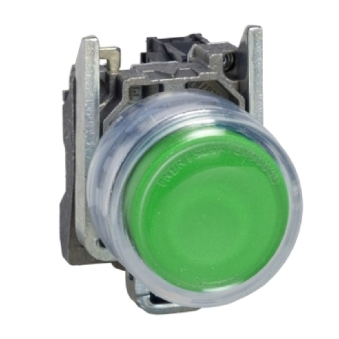XB4BP31.jpg