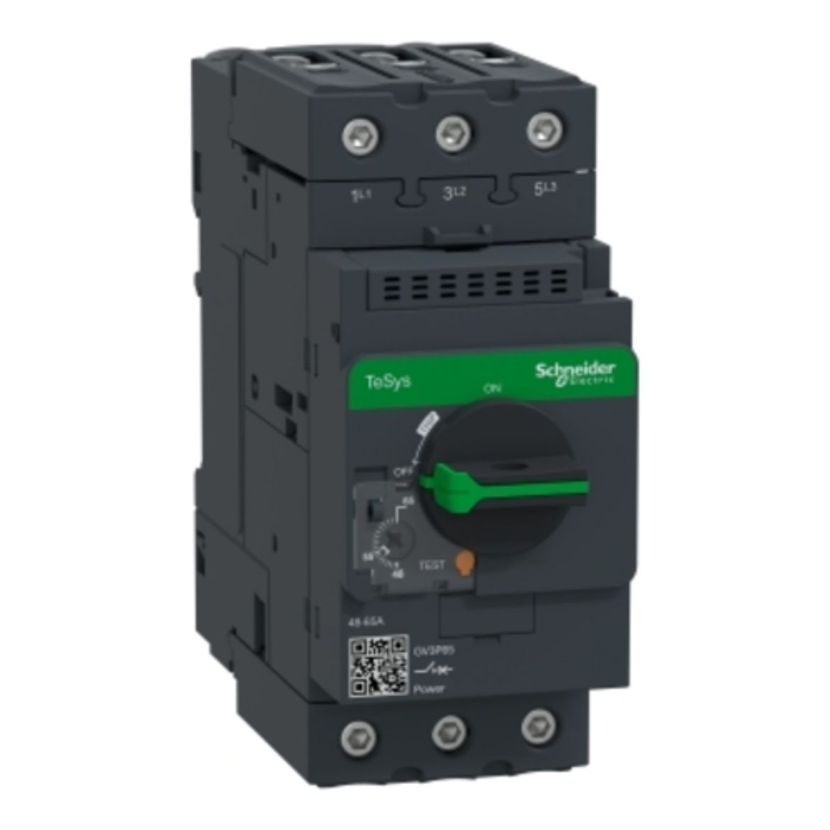 GV3P65.jpg