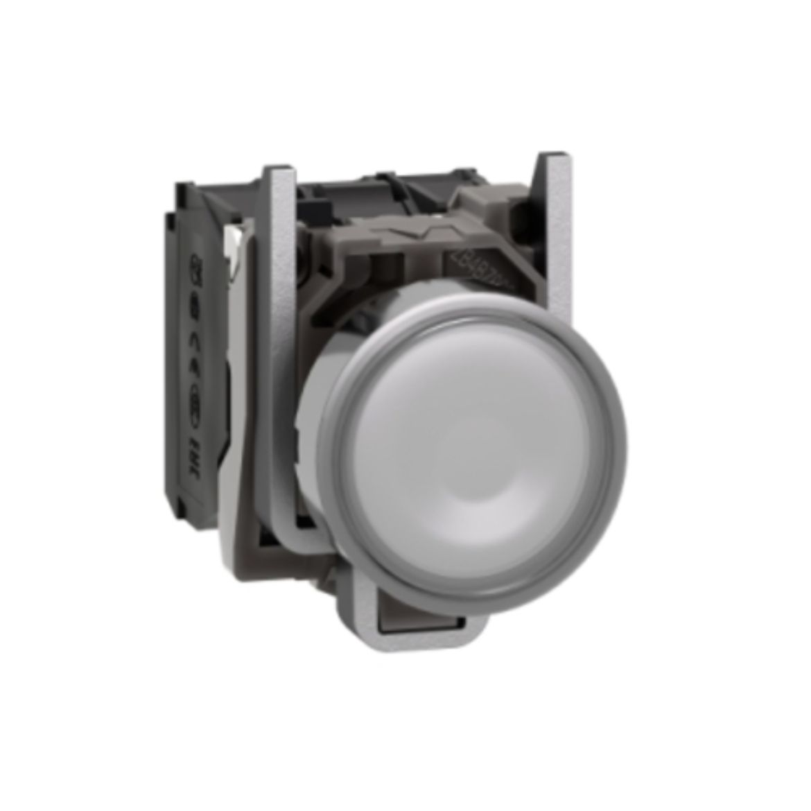 XB4BW31B5.jpg