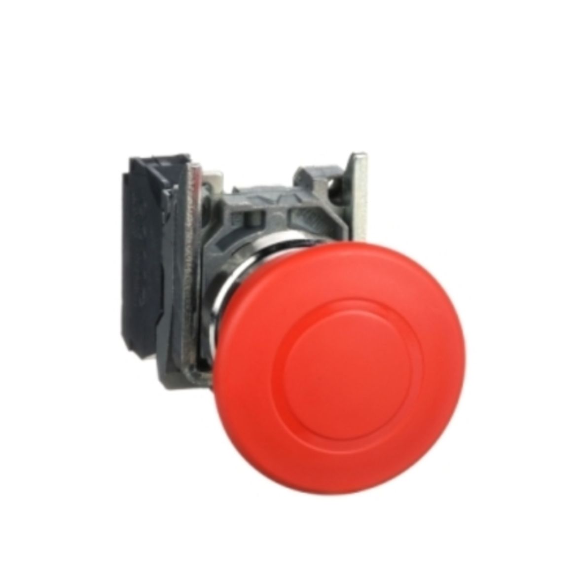XB4BT842.jpg