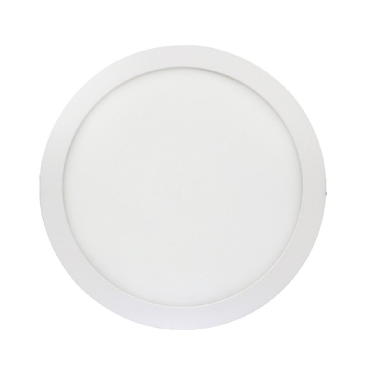 DL10106.jpg