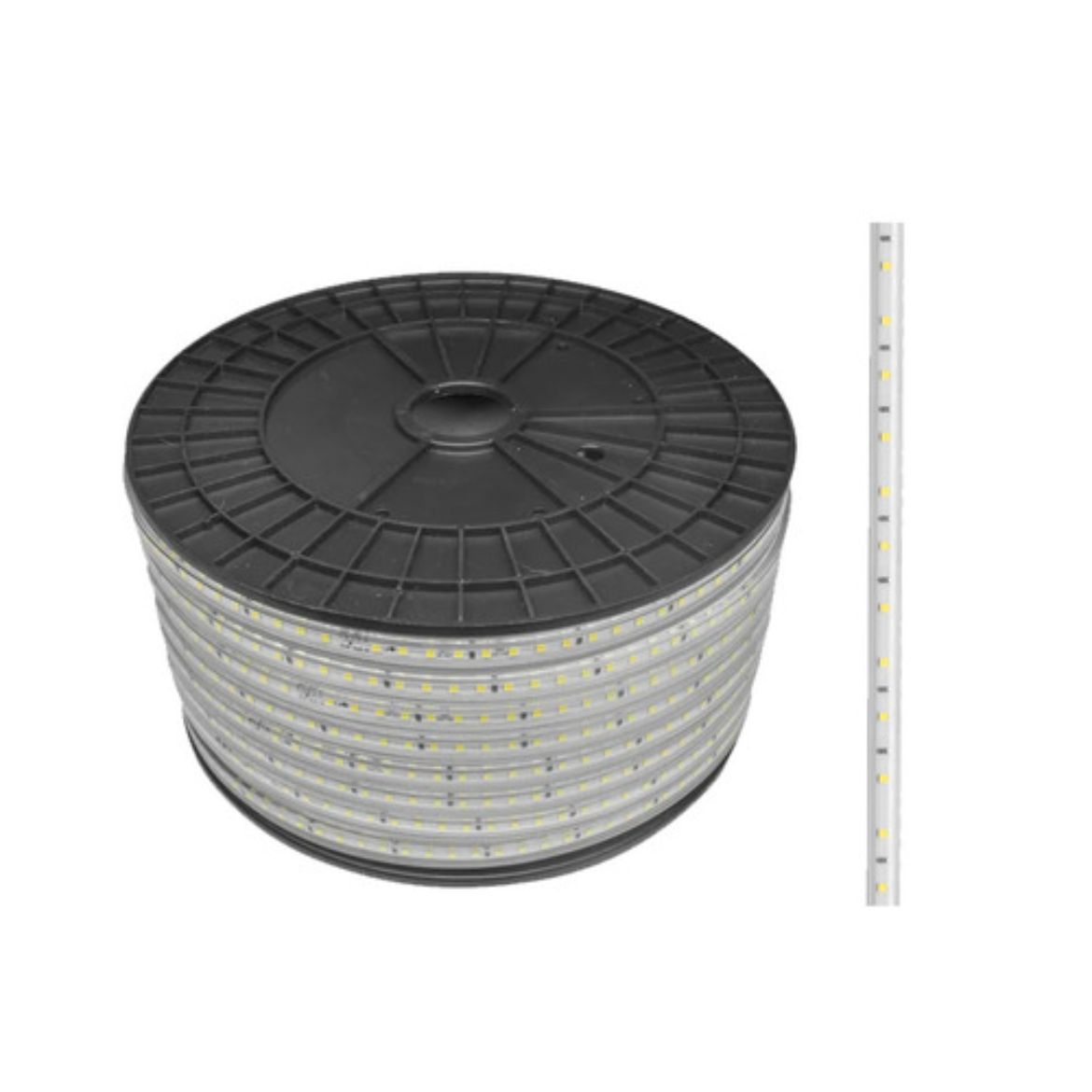 ACTLPB5050WW60R.jpg