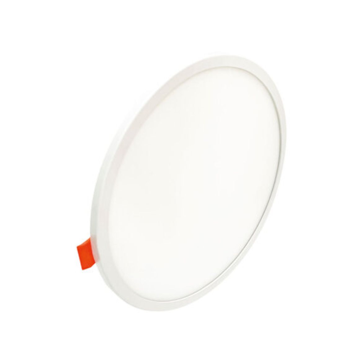WDO-008.jpg