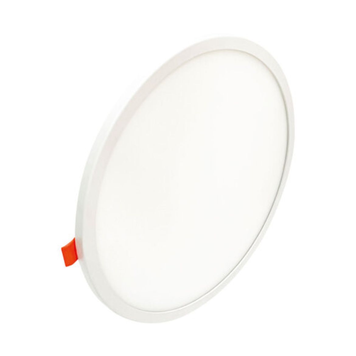 WDO-010.jpg
