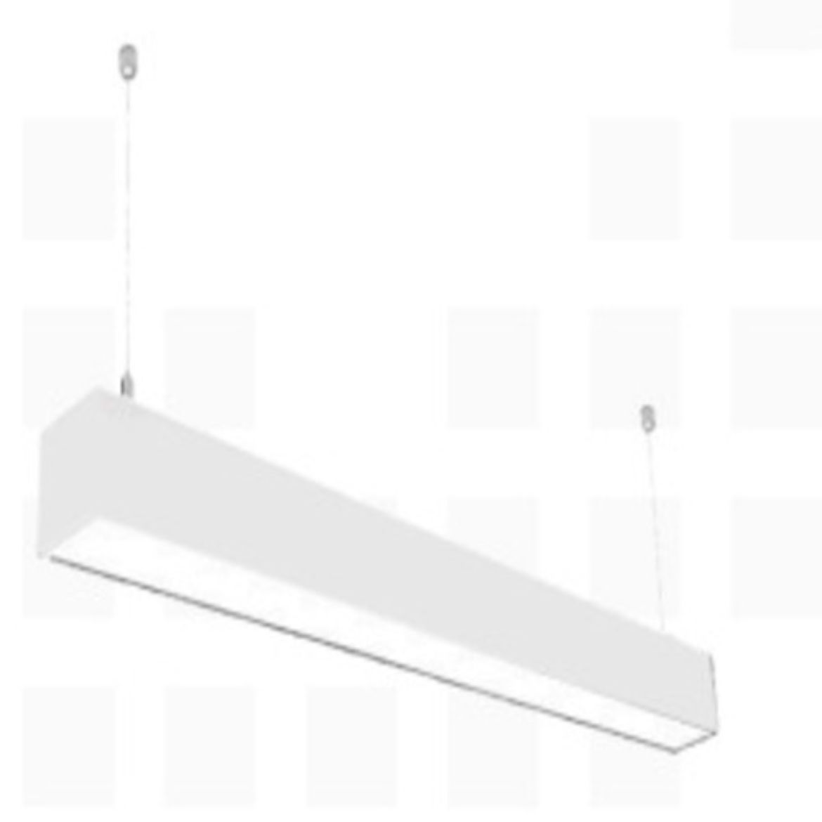 LSB-206030.jpg